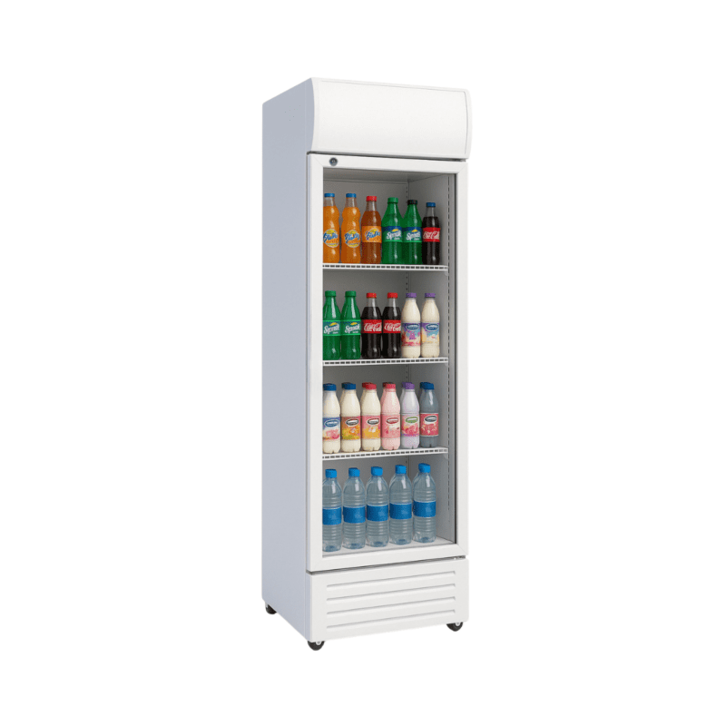 Visicooler 290L FRIGONOR
